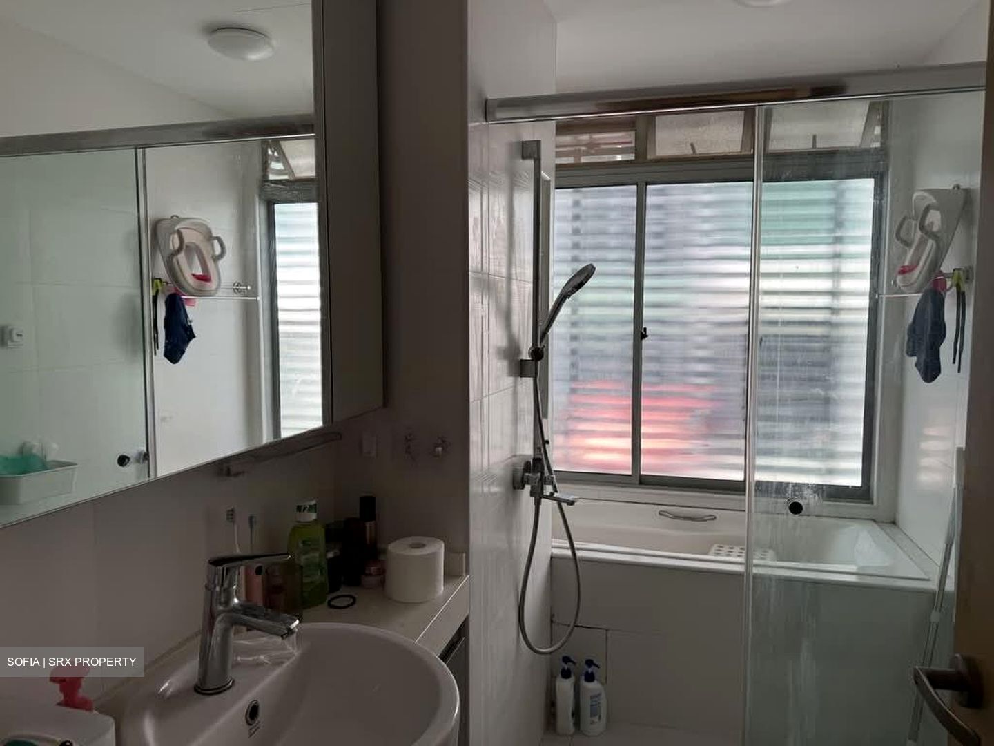 Ceylon Crest (D15), Apartment #597763991